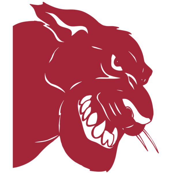 AR5 COUGAR 37 RQC Thumbnail